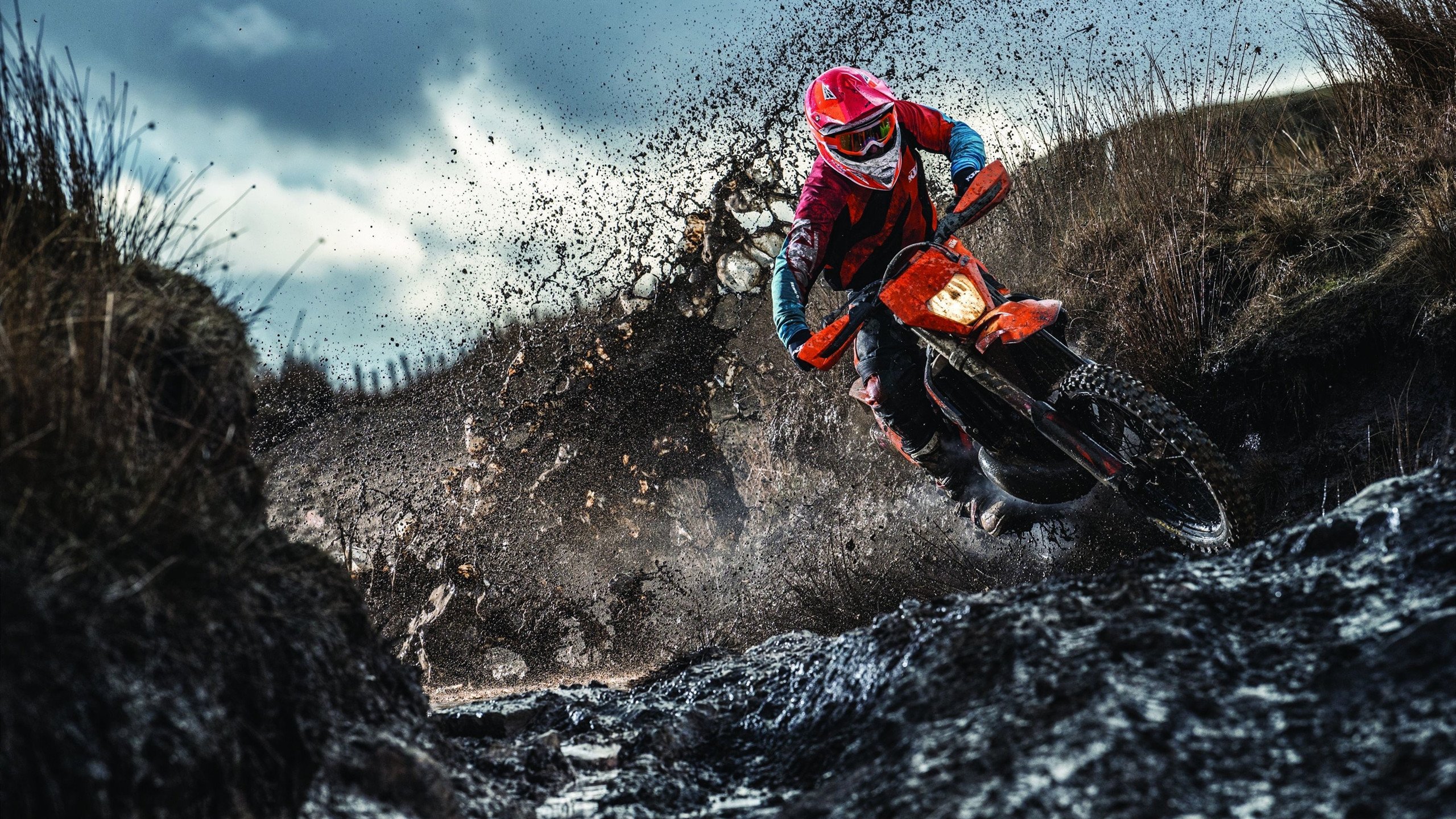 F1街道赛之夜，当托尼的赛后评分拉满，我们到底在欢呼什么？